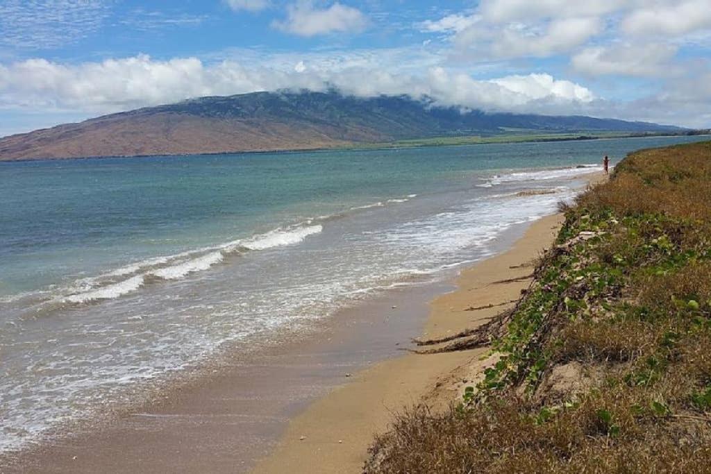 Oceanfront Penthouse With Amazing Views At Kauhale Makai Leilighet Kihei Eksteriør bilde