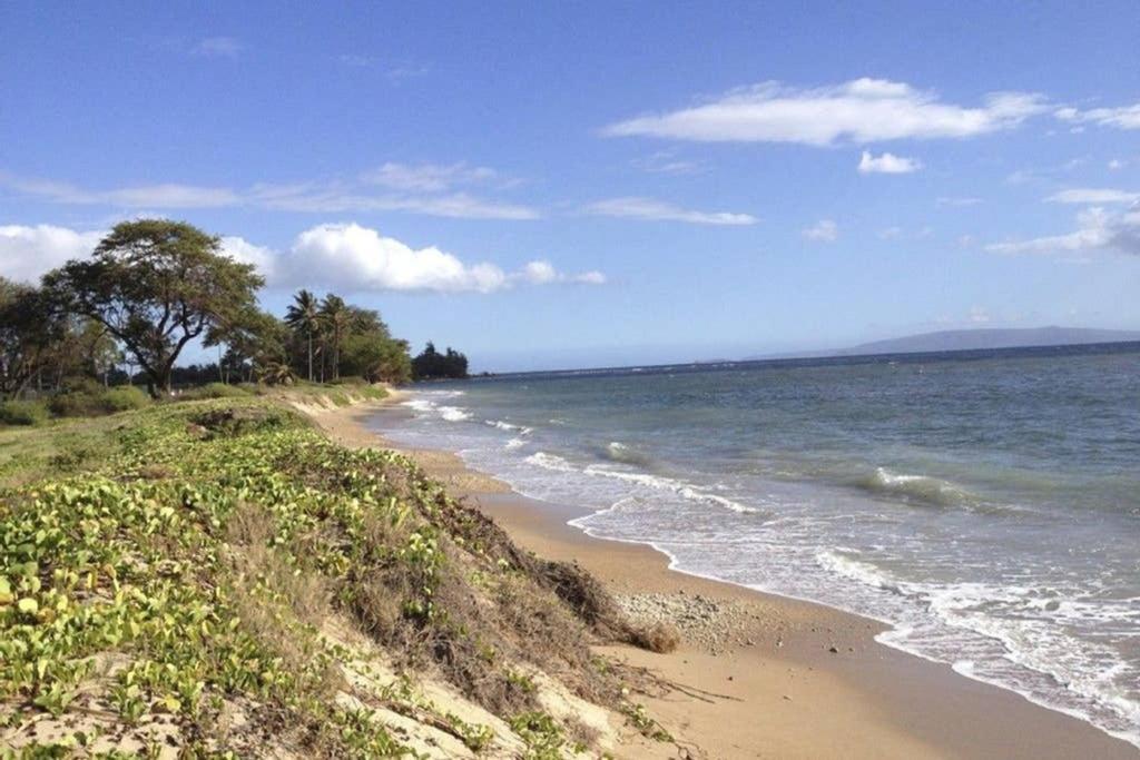 Oceanfront Penthouse With Amazing Views At Kauhale Makai Leilighet Kihei Eksteriør bilde