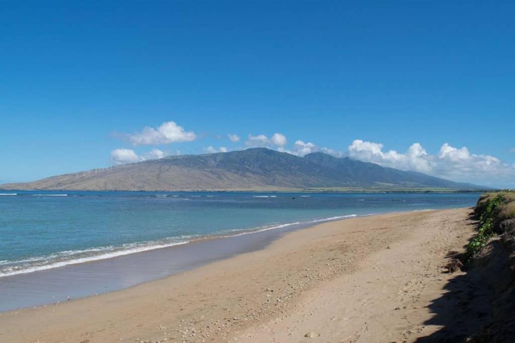 Oceanfront Penthouse With Amazing Views At Kauhale Makai Leilighet Kihei Eksteriør bilde